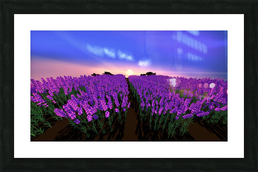 2080624 :: Framed Print