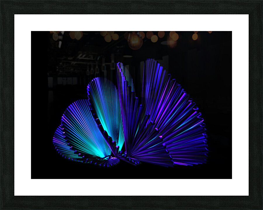 2080630 :: Framed Print