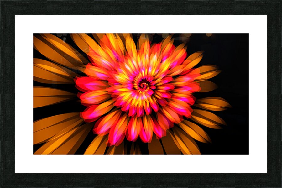 2084154 :: Framed Print