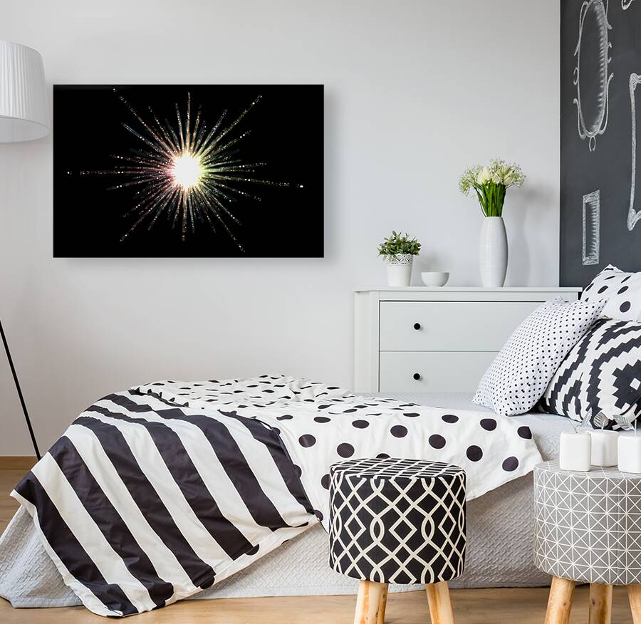 2081818 :: Giclée Stretched Canvas Print