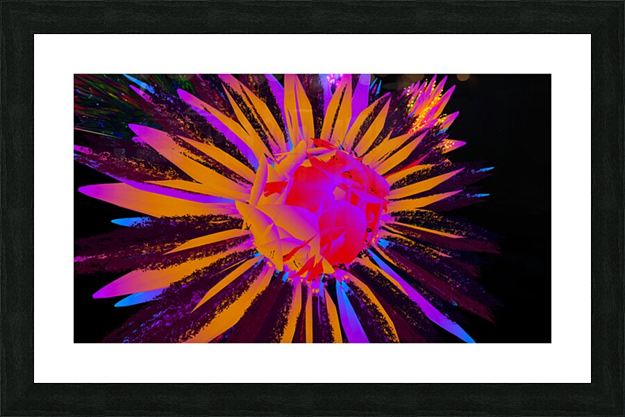 2080616 :: Framed Print
