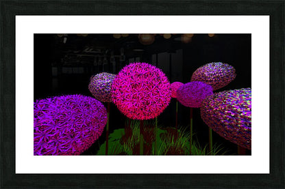 2080618 :: Framed Print