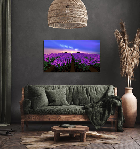 The Lavender Fields