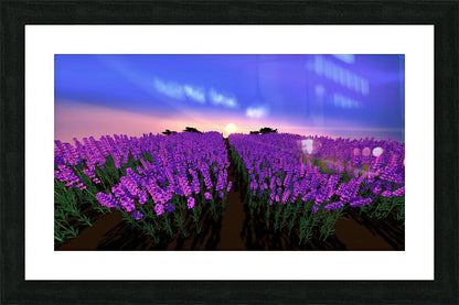 2080624 :: Framed Print