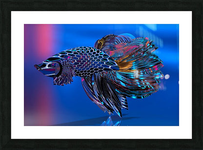 2080627 :: Framed Print