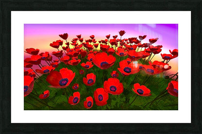 2081816 :: Framed Print