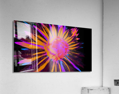 2080616 :: Acrylic Print