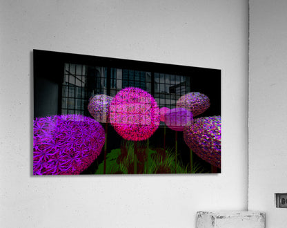 2080618 :: Acrylic Print