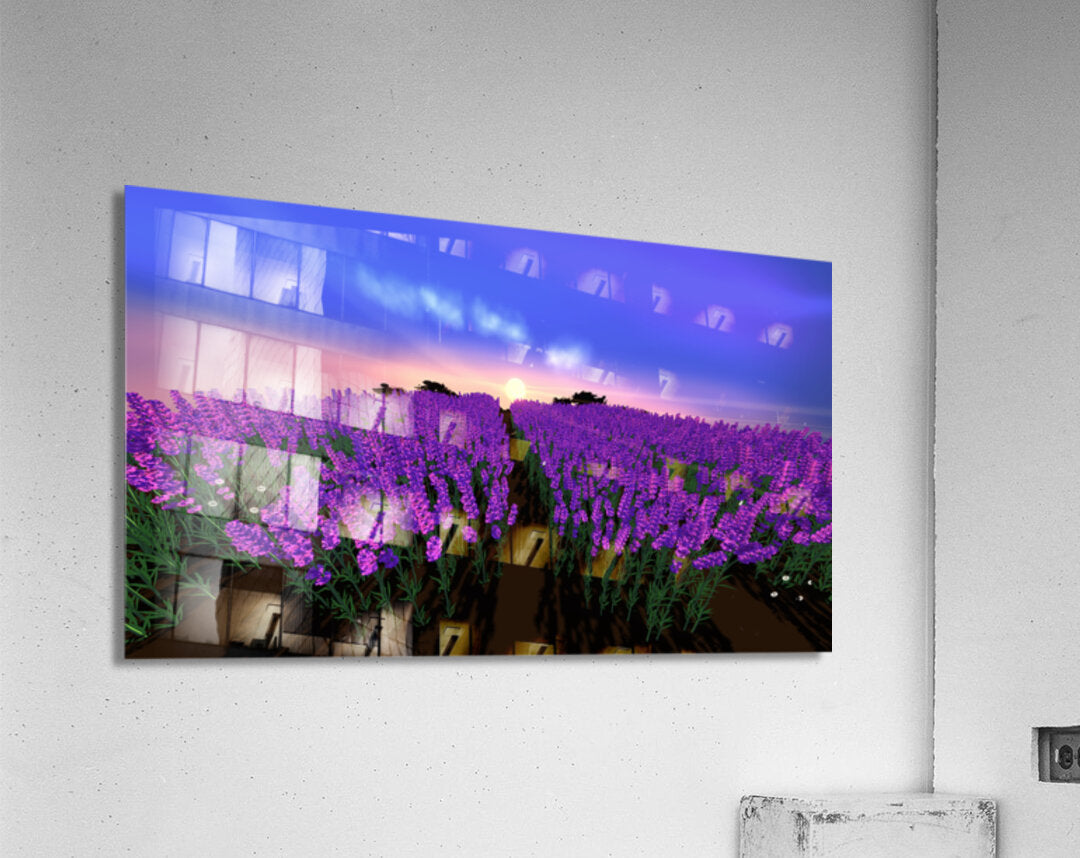 2080624 :: Acrylic Print