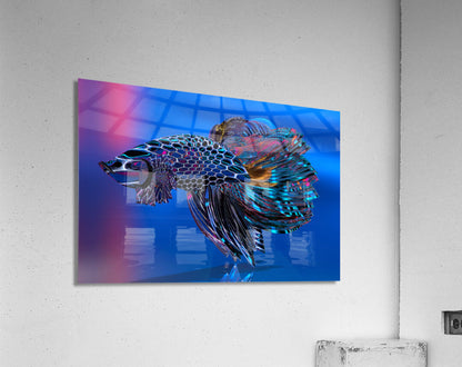 2080627 :: Acrylic Print