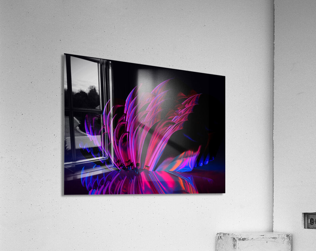 Acrylic Print