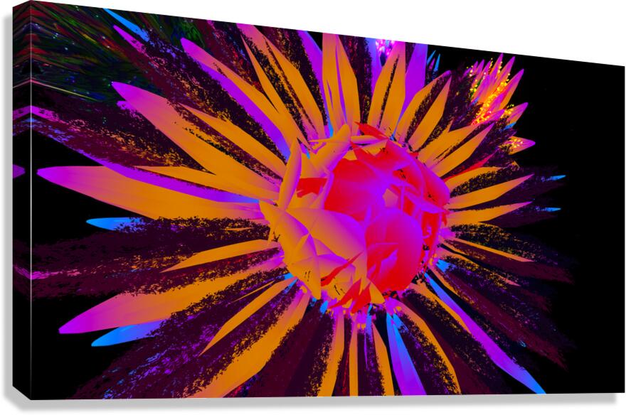 2080616 :: Giclée Stretched Canvas Print