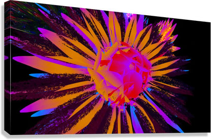 2080616 :: Giclée Stretched Canvas Print