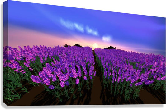 2080624 :: Giclée Stretched Canvas Print