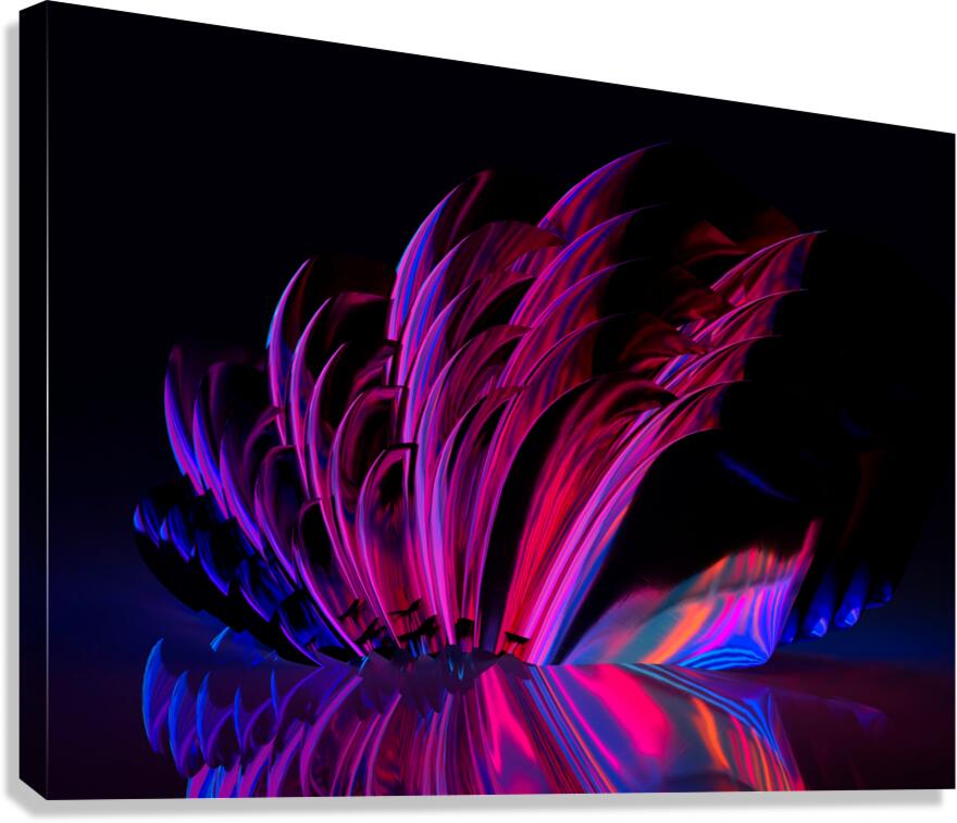 2080628 :: Giclée Stretched Canvas Print