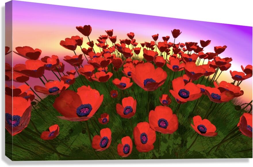 2081816 :: Giclée Stretched Canvas Print