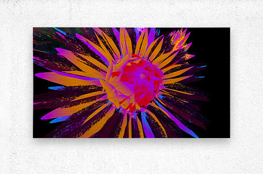 2080616 :: Brushed Metal Print