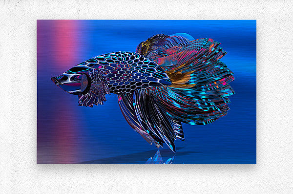 2080627 :: Brushed Metal Print