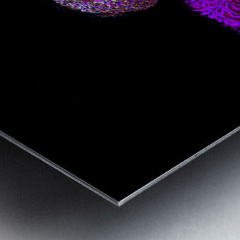 2080618 :: Brushed Metal Print