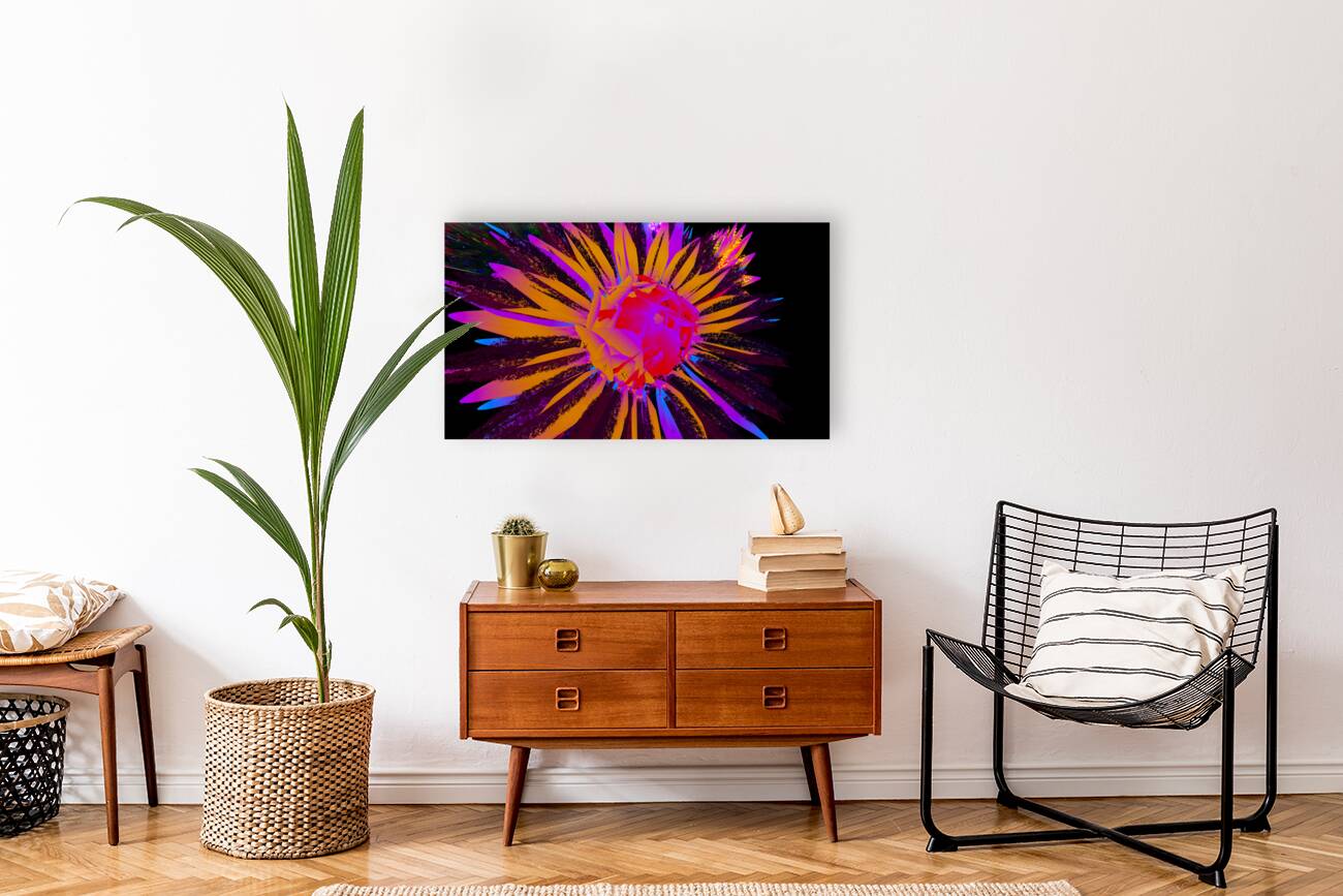 Giclée Stretched Canvas Print