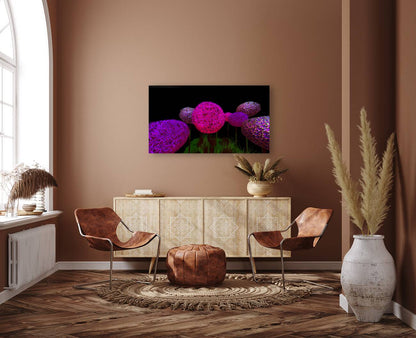 2080618 :: Giclée Stretched Canvas Print
