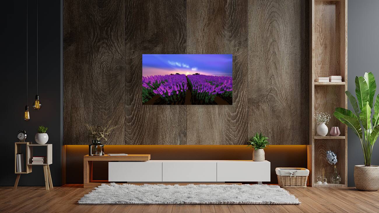 2080624 :: Giclée Stretched Canvas Print