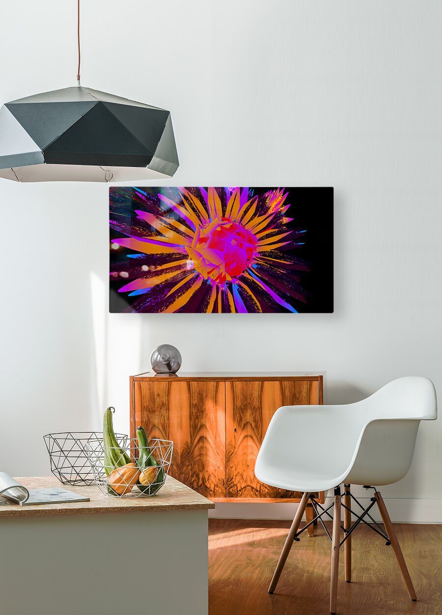 2080616 :: HD Sublimation Metal Print