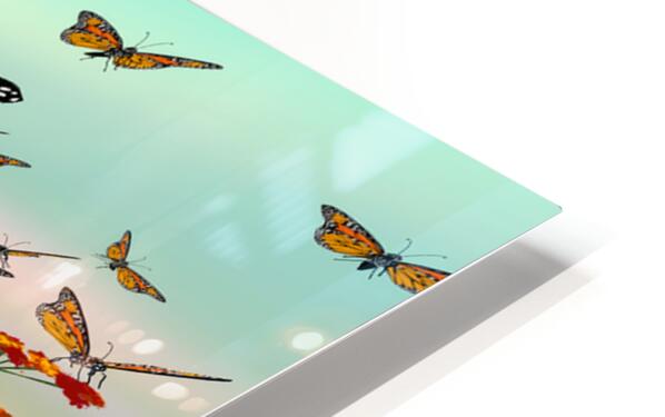 2080623 :: HD Sublimation Metal Print