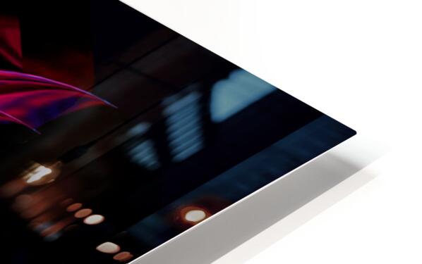 2080628 :: HD Sublimation Metal Print