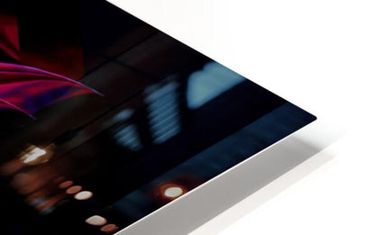 2080628 :: HD Sublimation Metal Print