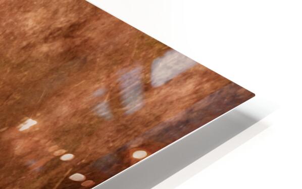 2080946 :: HD Sublimation Metal Print