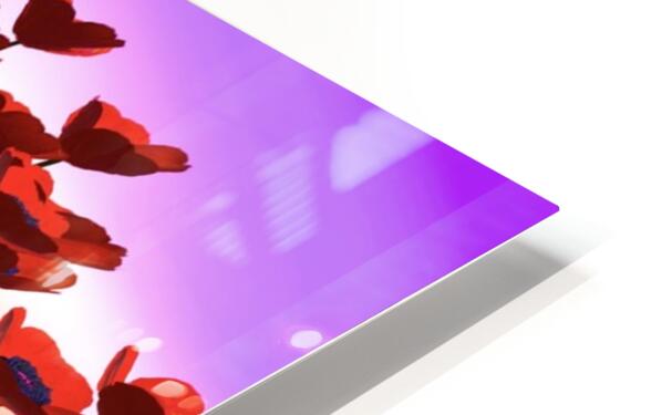 2081816 :: HD Sublimation Metal Print