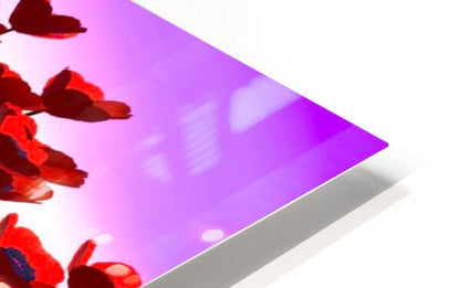 2081816 :: HD Sublimation Metal Print